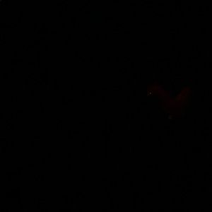 Meet your Posher, Maxx